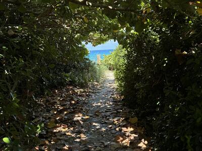 35 Anna Street, Ocean Ridge, FL 33435