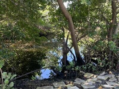 35 Anna Street, Ocean Ridge, FL 33435