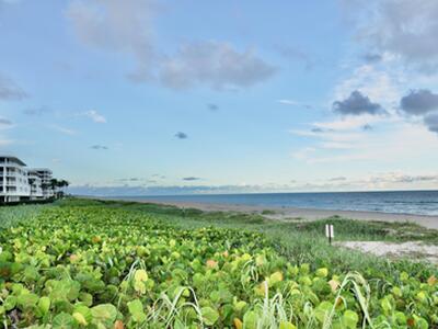 2660 S Ocean Boulevard, Palm Beach, FL 33480