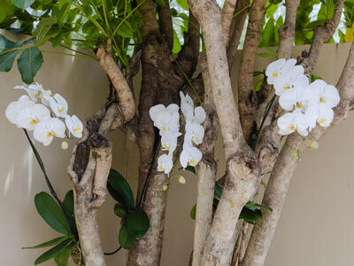 104 Old Meadow Way, Palm Beach Gardens, FL 33418