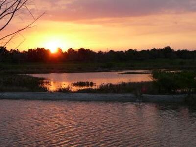 8158 Rosalie Lane, Wellington, FL 33414