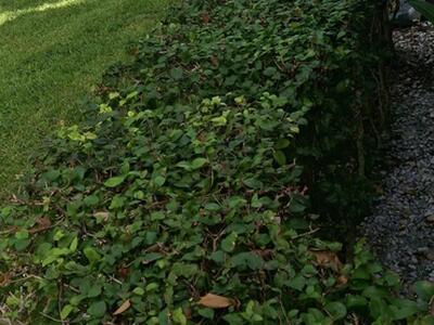 2733 S Oakland Forest Drive, Oakland Park, FL 33309