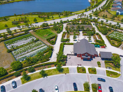 1295 Tangled Orchard Trace, Loxahatchee, FL 33470