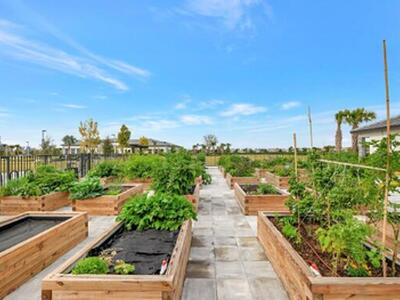 12489 SW Emerald Estuary Ter Terrace, Port Saint Lucie, FL 34987