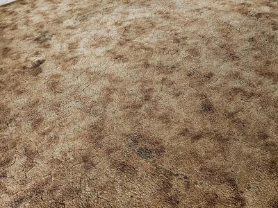 500 Village Green Circle W, Palm Springs, FL 33461