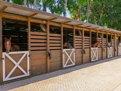 5420 Las Palmas Avenue, Wellington, FL 33449