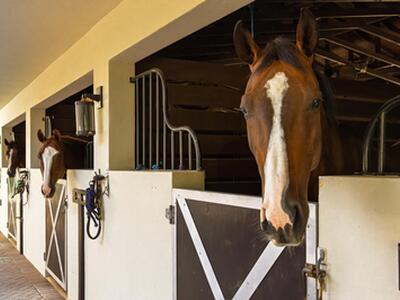 5420 Las Palmas Avenue, Wellington, FL 33449