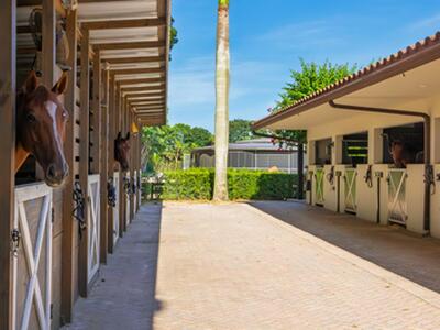 5420 Las Palmas Avenue, Wellington, FL 33449