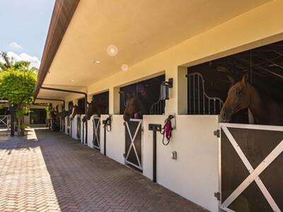 5420 Las Palmas Avenue, Wellington, FL 33449