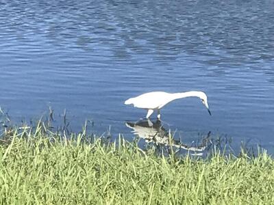 2800 Indian River Boulevard, Vero Beach, FL 32960