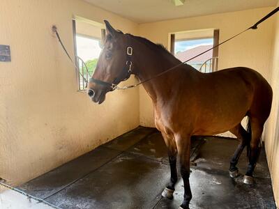 13060 52nd Place S, Wellington, FL 33449