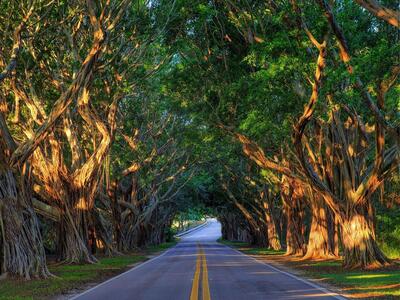 9165 SE Yacht Club Circle, Hobe Sound, FL 33455