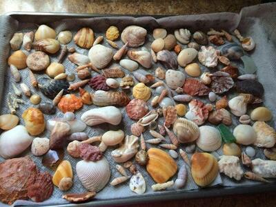 620 Horizons, Boynton Beach, FL 33435