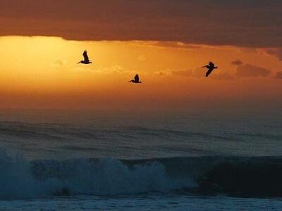 620 Horizons, Boynton Beach, FL 33435