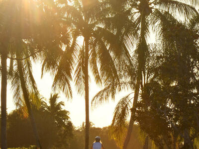 2243 Blue Springs Road, West Palm Beach, FL 33411