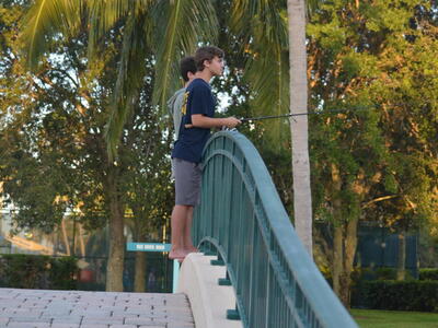 2243 Blue Springs Road, West Palm Beach, FL 33411