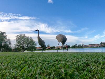 2243 Blue Springs Road, West Palm Beach, FL 33411