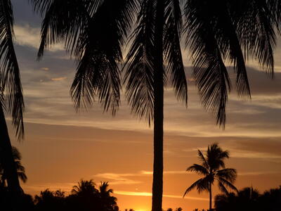 2243 Blue Springs Road, West Palm Beach, FL 33411