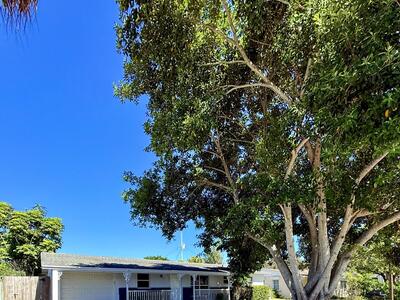 1455 NE Silver Maple Way, Jensen Beach, FL 34957