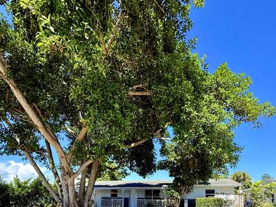 1455 NE Silver Maple Way, Jensen Beach, FL 34957