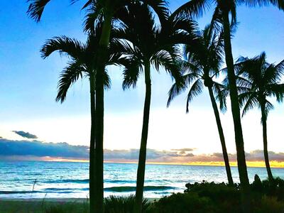 88 Crooked Tree Lane, Vero Beach, FL 32962