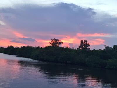 88 Crooked Tree Lane, Vero Beach, FL 32962