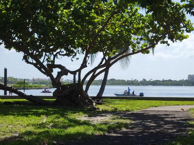 101 S Golfview Road, Lake Worth Beach, FL 33460