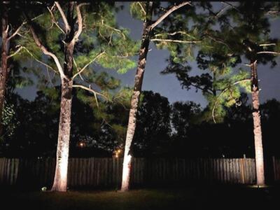 1697 SW Clover Street, Port Saint Lucie, FL 34953