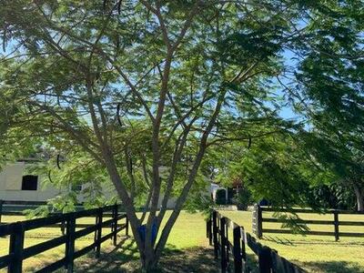 16693 Deer Path Lane, Wellington, FL 33470