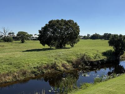 2060 Greenview Shores Boulevard, Wellington, FL 33414