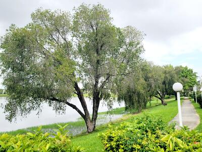 3421 NW 44th Street, Oakland Park, FL 33309