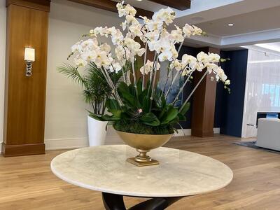 6675 NW 25th Way, Boca Raton, FL 33496