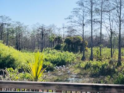 2122 Sabal Tree Court, West Palm Beach, FL 33411