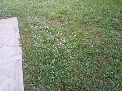 8743 Sol Terrace, West Palm Beach, FL 33403