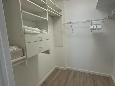 1136 Staghorn Street, Wellington, FL 33414