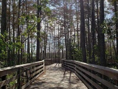 2615 N Garden Drive, Lake Worth, FL 33461