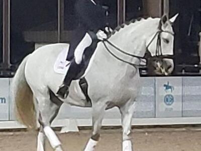 2615 N Garden Drive, Lake Worth, FL 33461