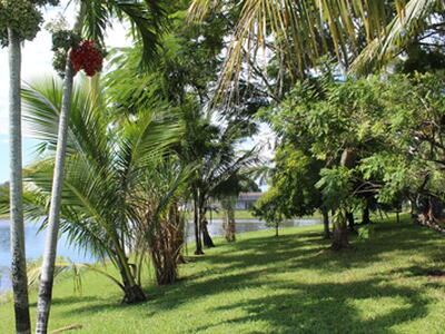 13847 Geranium Place, Wellington, FL 33414