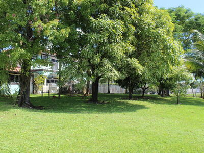 13847 Geranium Place, Wellington, FL 33414