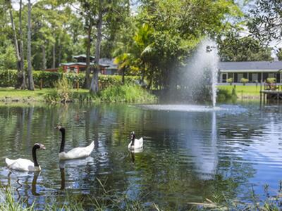 15161 Collecting Canal Road, Loxahatchee Groves, FL 33470