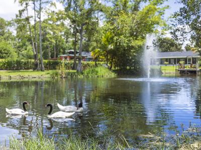 15161 Collecting Canal Road, Loxahatchee Groves, FL 33470