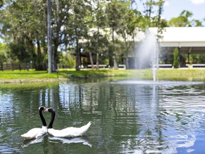 15161 Collecting Canal Road, Loxahatchee Groves, FL 33470