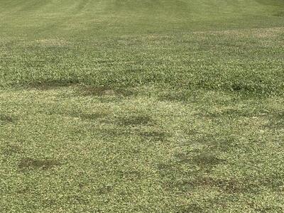 3474 Cypress Trail, West Palm Beach, FL 33417