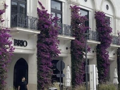 3636 Whitehall Drive, West Palm Beach, FL 33401