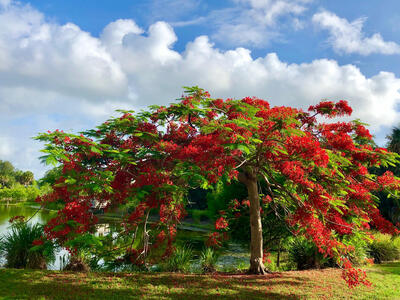 2116 SE Eatonville Drive, Port Saint Lucie, FL 34952