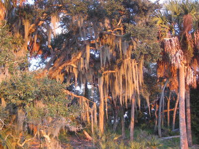 2116 SE Eatonville Drive, Port Saint Lucie, FL 34952