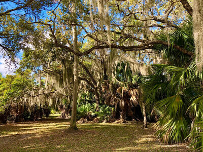 2116 SE Eatonville Drive, Port Saint Lucie, FL 34952