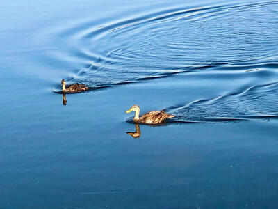 2116 SE Eatonville Drive, Port Saint Lucie, FL 34952