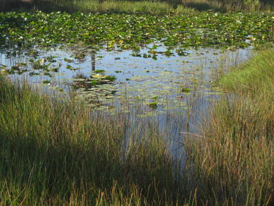 2116 SE Eatonville Drive, Port Saint Lucie, FL 34952