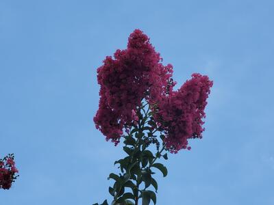 1650 N 42nd Circle, Vero Beach, FL 32967